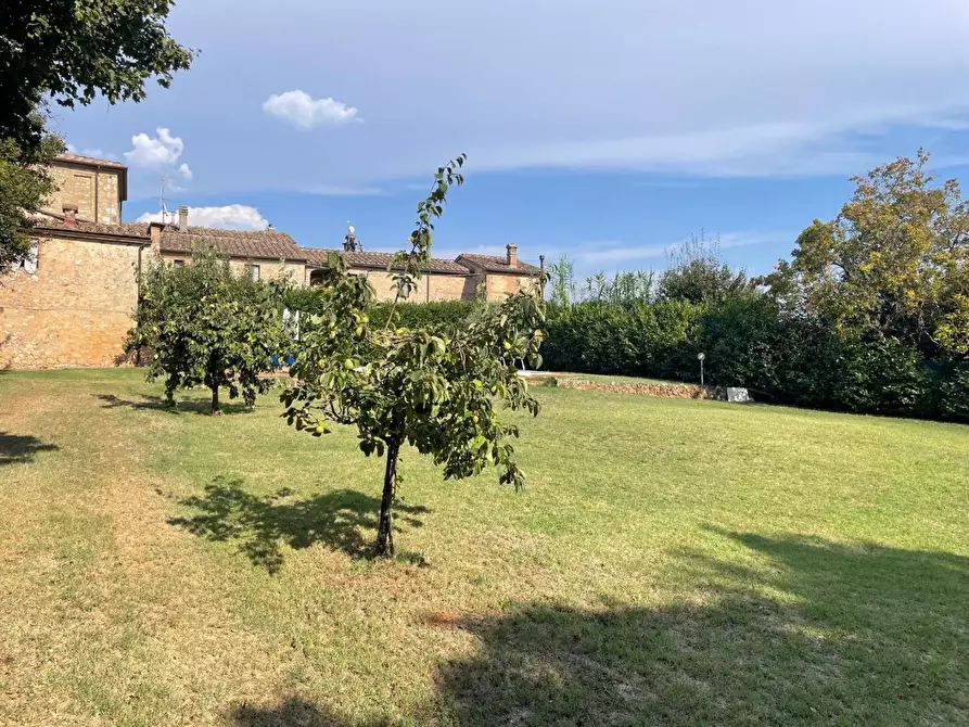 Immagine 2 di Appartamento in vendita  a Sovicille
