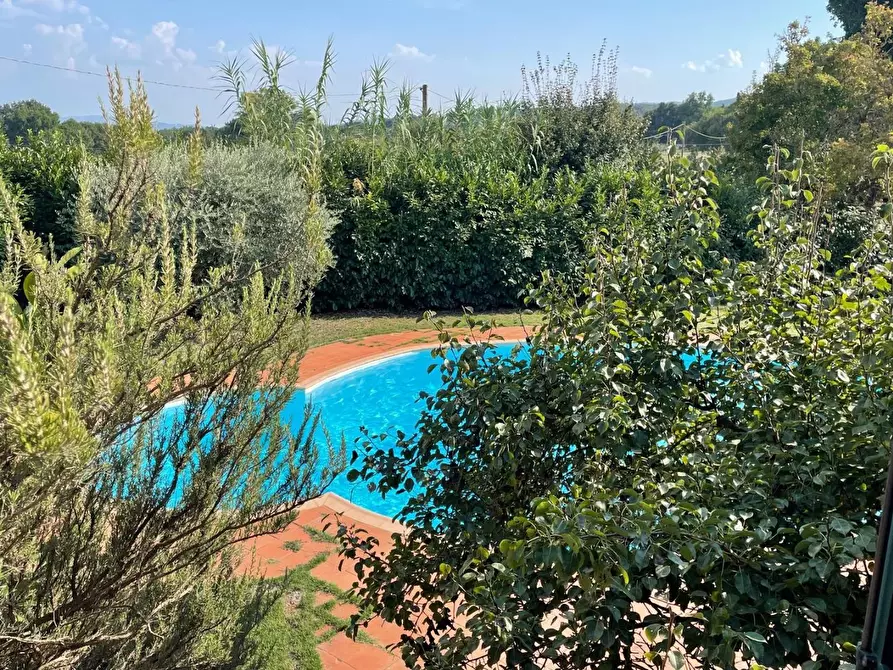 Immagine 30 di Appartamento in vendita  a Sovicille