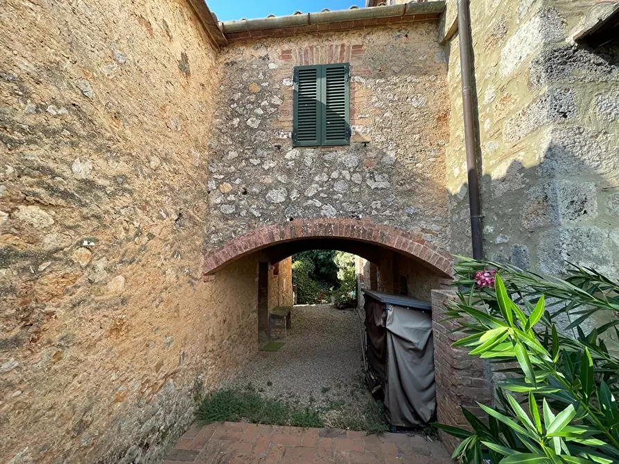 Immagine 5 di Appartamento in vendita  a Sovicille