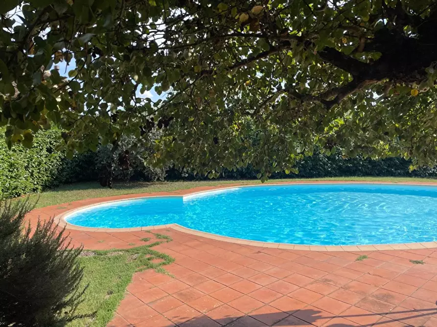 Immagine 12 di Appartamento in vendita  a Sovicille