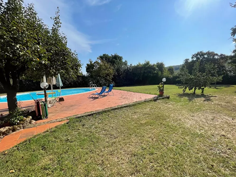 Immagine 8 di Appartamento in vendita  a Sovicille