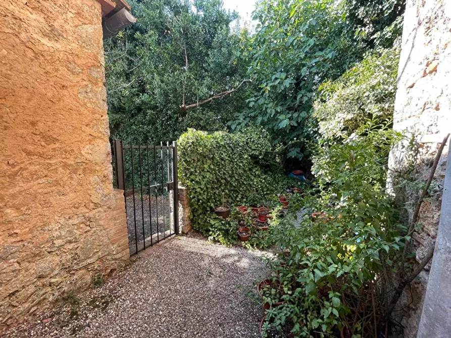 Immagine 14 di Appartamento in vendita  a Sovicille