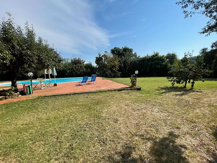 Immagine 9 di Appartamento in vendita  a Sovicille