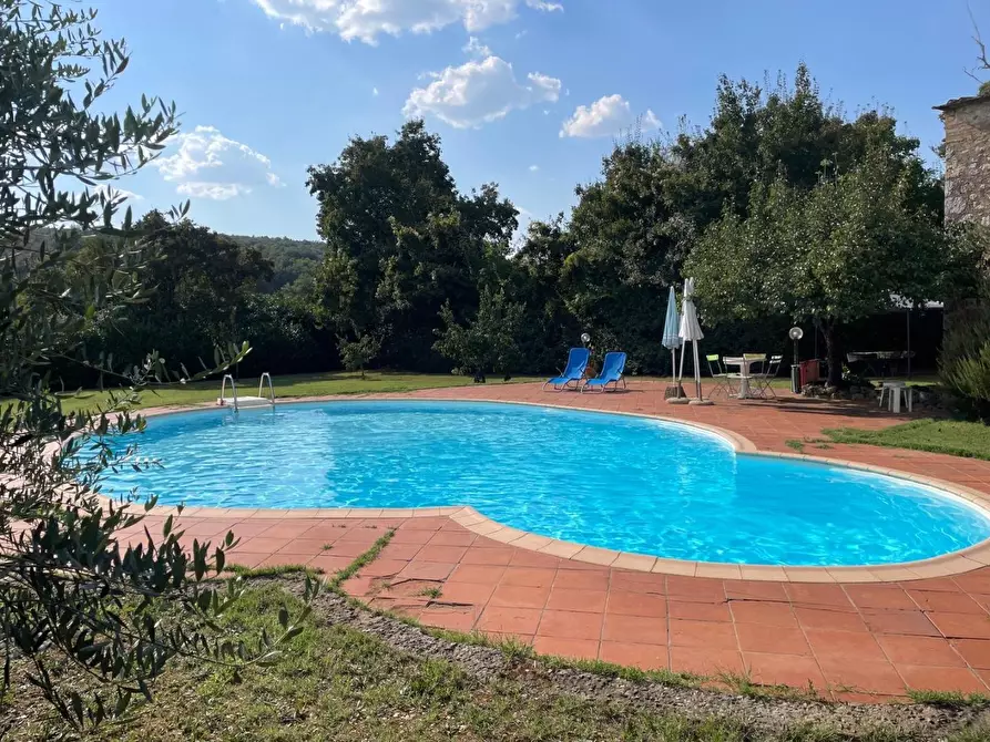 Immagine 10 di Appartamento in vendita  a Sovicille