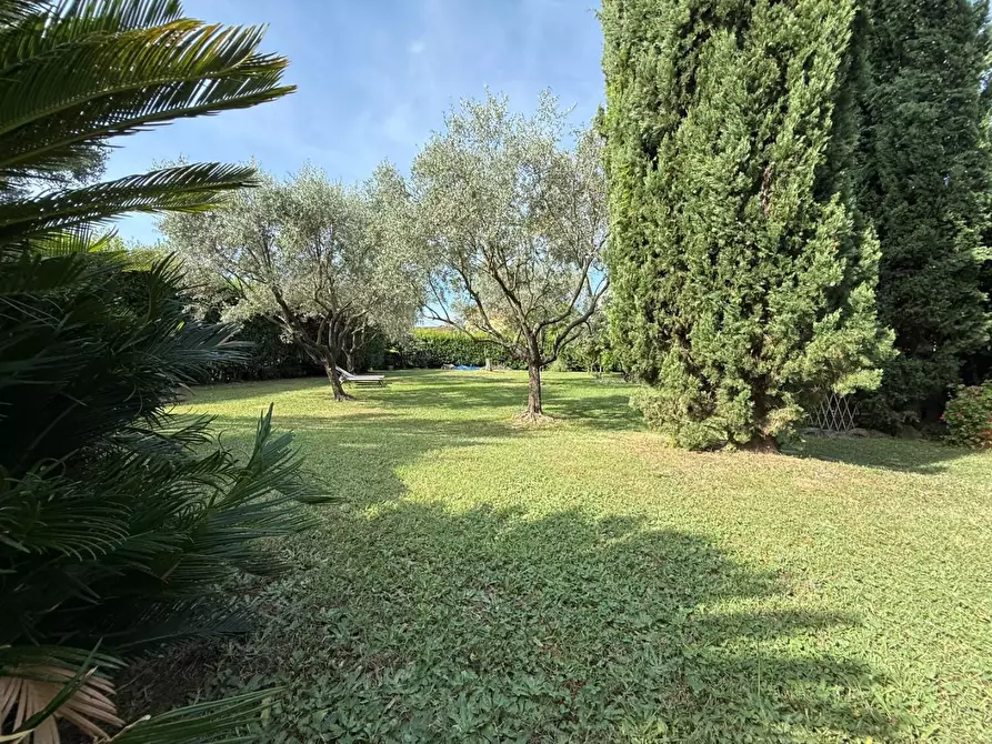 Immagine 5 di Villa in vendita  a Massa