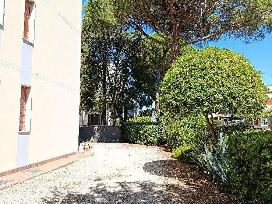 Immagine 18 di Appartamento in vendita  a Rosignano Marittimo