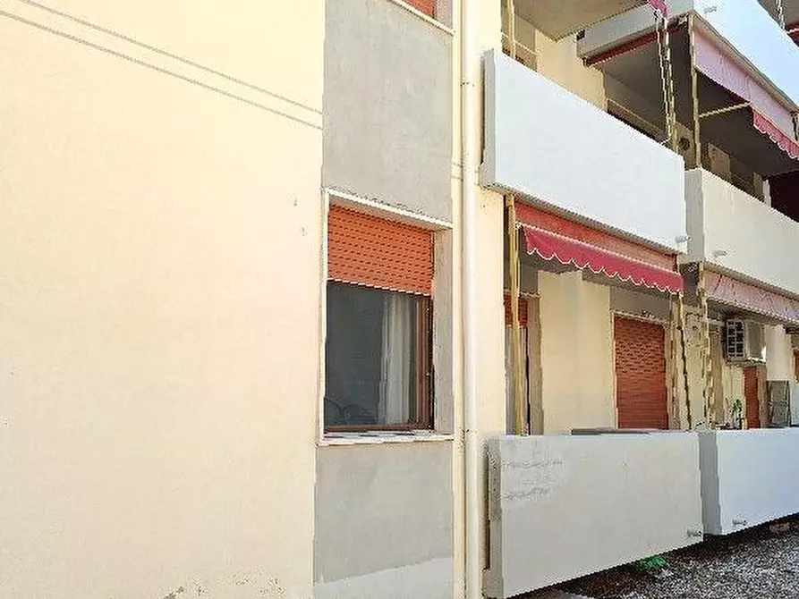 Immagine 23 di Appartamento in vendita  a Rosignano Marittimo