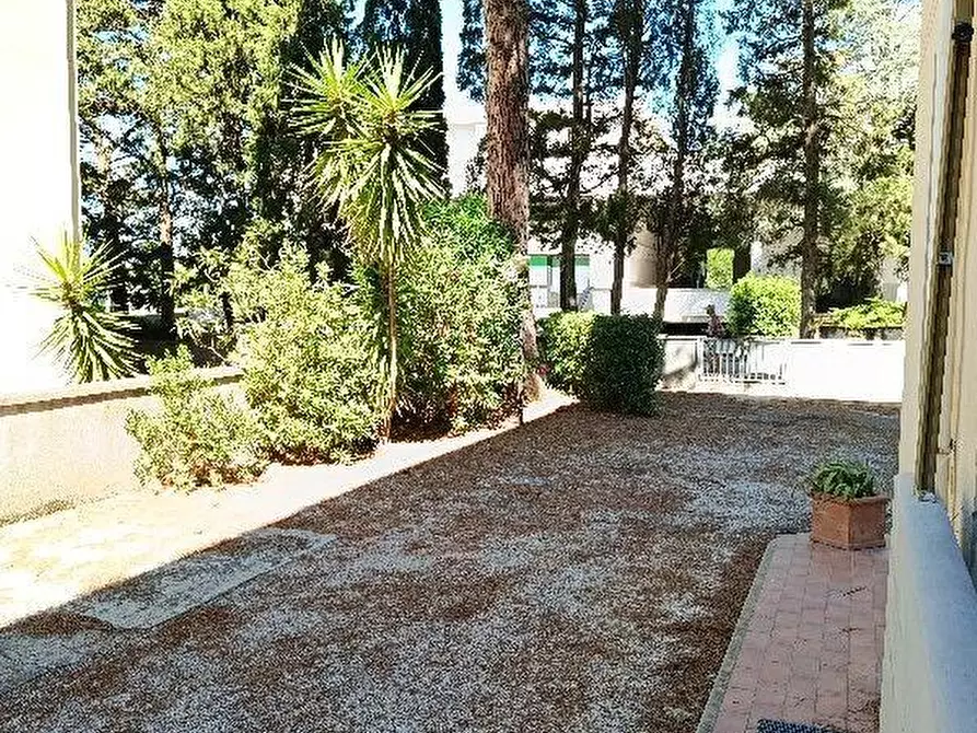 Immagine 13 di Appartamento in vendita  a Rosignano Marittimo