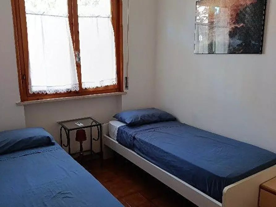 Immagine 12 di Appartamento in vendita  a Rosignano Marittimo