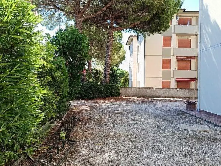 Immagine 19 di Appartamento in vendita  a Rosignano Marittimo
