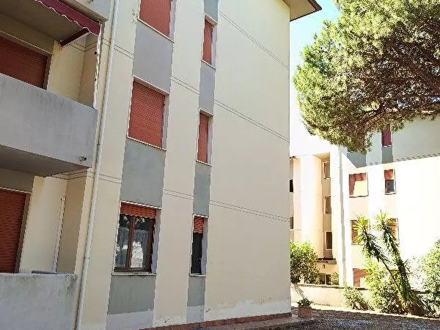 Immagine 21 di Appartamento in vendita  a Rosignano Marittimo