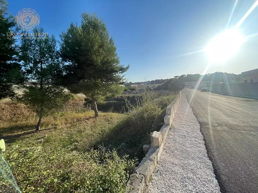 Immagine 9 di Terreno residenziale in vendita  a Alessano