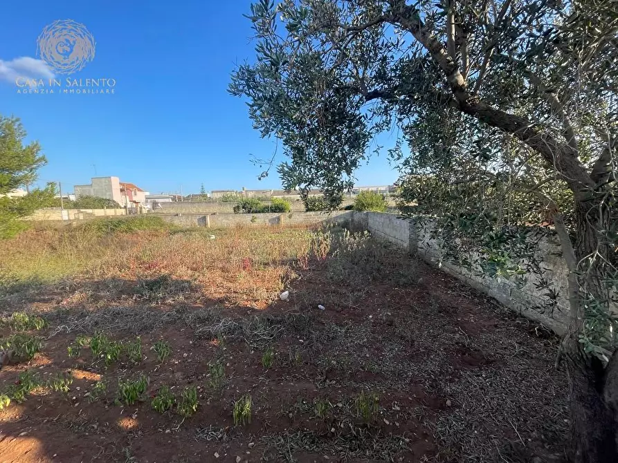 Immagine 4 di Terreno residenziale in vendita  a Alessano