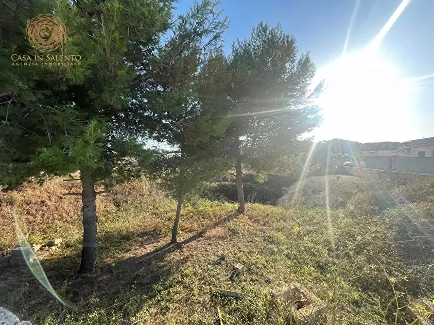 Immagine 12 di Terreno residenziale in vendita  a Alessano