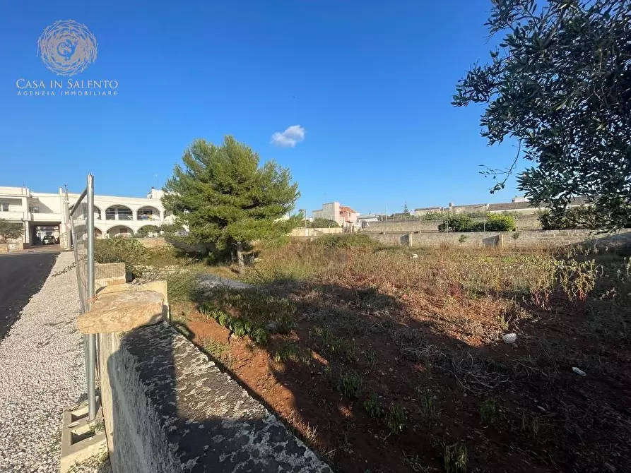 Immagine 3 di Terreno residenziale in vendita  a Alessano