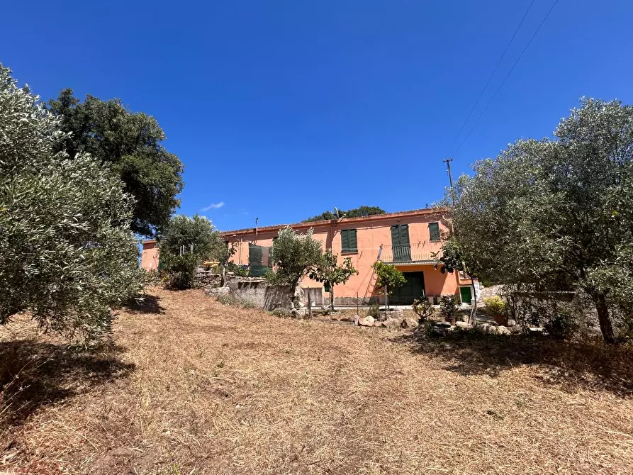 Immagine 21 di Casa indipendente in vendita  a Luogosanto