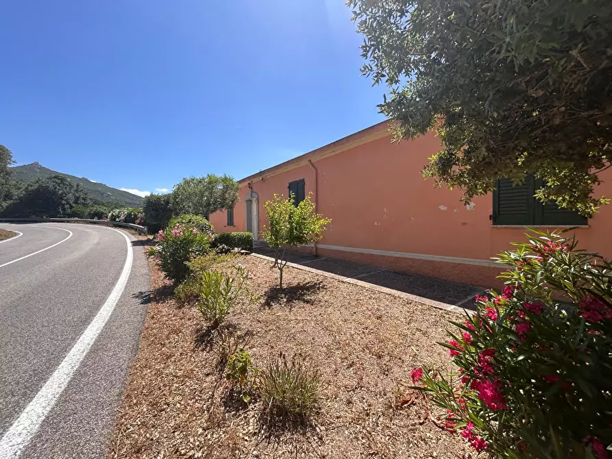 Immagine 1 di Casa indipendente in vendita  a Luogosanto