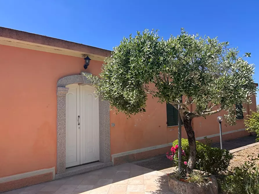 Immagine 3 di Casa indipendente in vendita  a Luogosanto