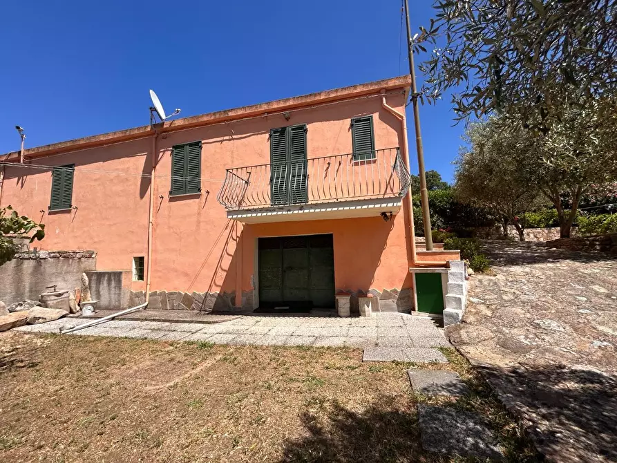 Immagine 9 di Casa indipendente in vendita  a Luogosanto