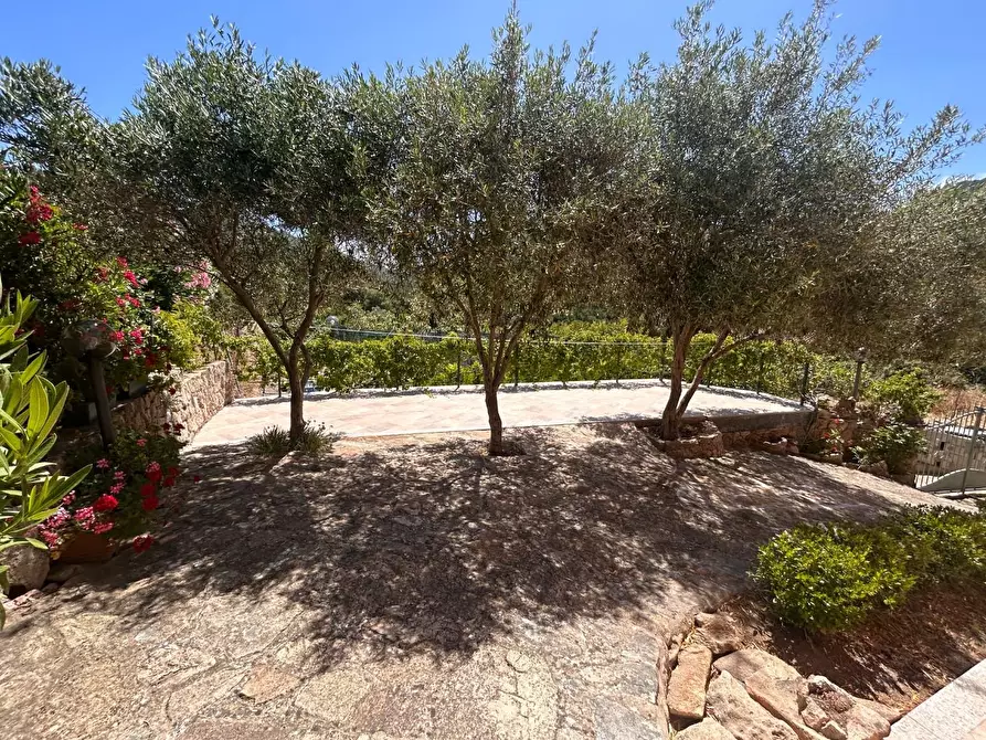Immagine 4 di Casa indipendente in vendita  a Luogosanto