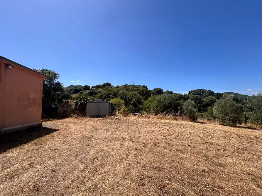 Immagine 17 di Casa indipendente in vendita  a Luogosanto