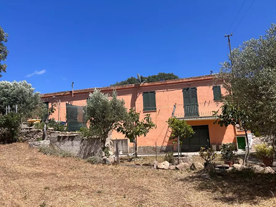 Immagine 24 di Casa indipendente in vendita  a Luogosanto