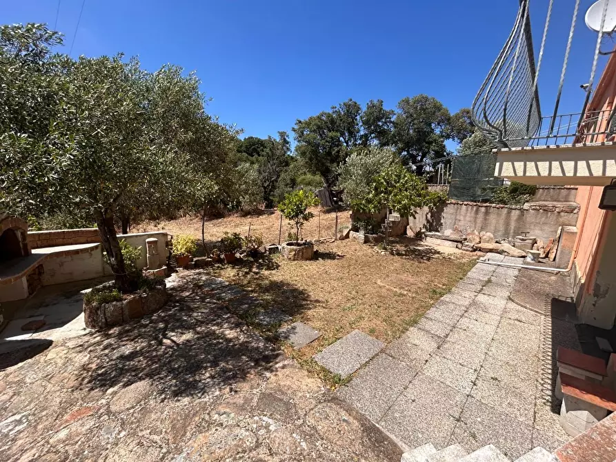 Immagine 7 di Casa indipendente in vendita  a Luogosanto