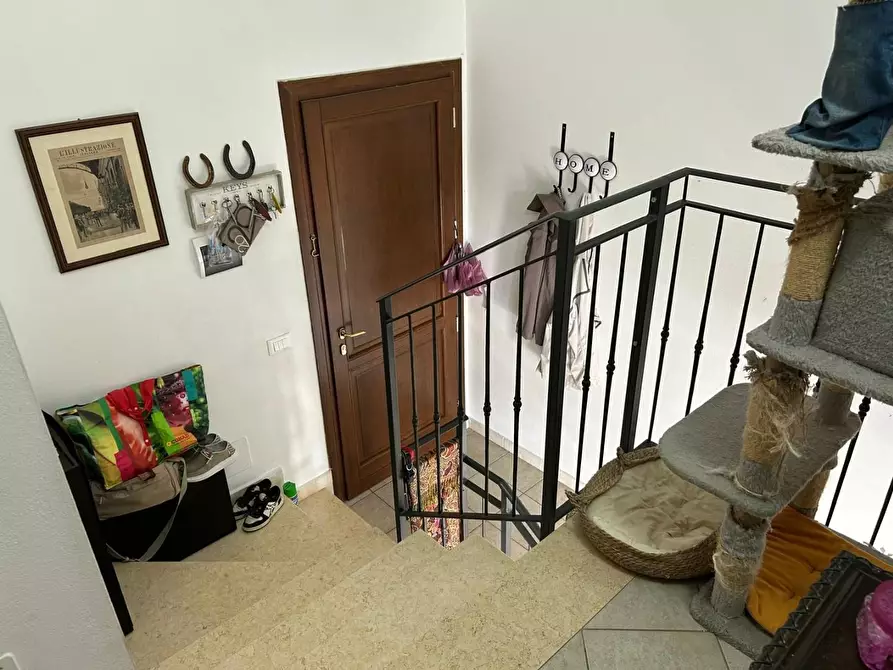 Immagine 4 di Appartamento in vendita  a Guardistallo