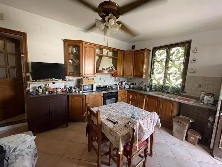 Immagine 2 di Villa in vendita  a Vecchiano