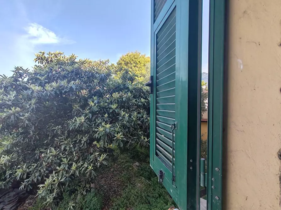 Immagine 6 di Appartamento in vendita  a Massa