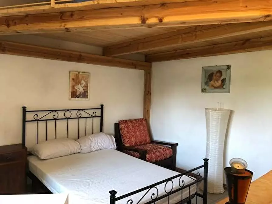 Immagine 11 di Villa in affitto  a Calcinaia