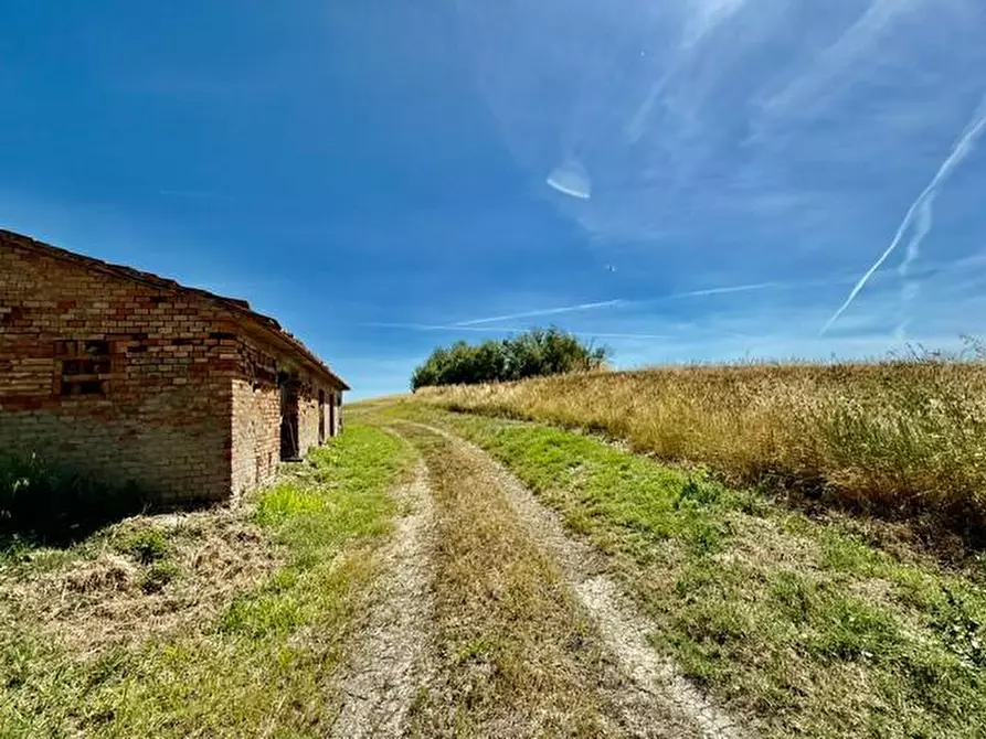 Immagine 11 di Rustico / casale in vendita  a Volterra