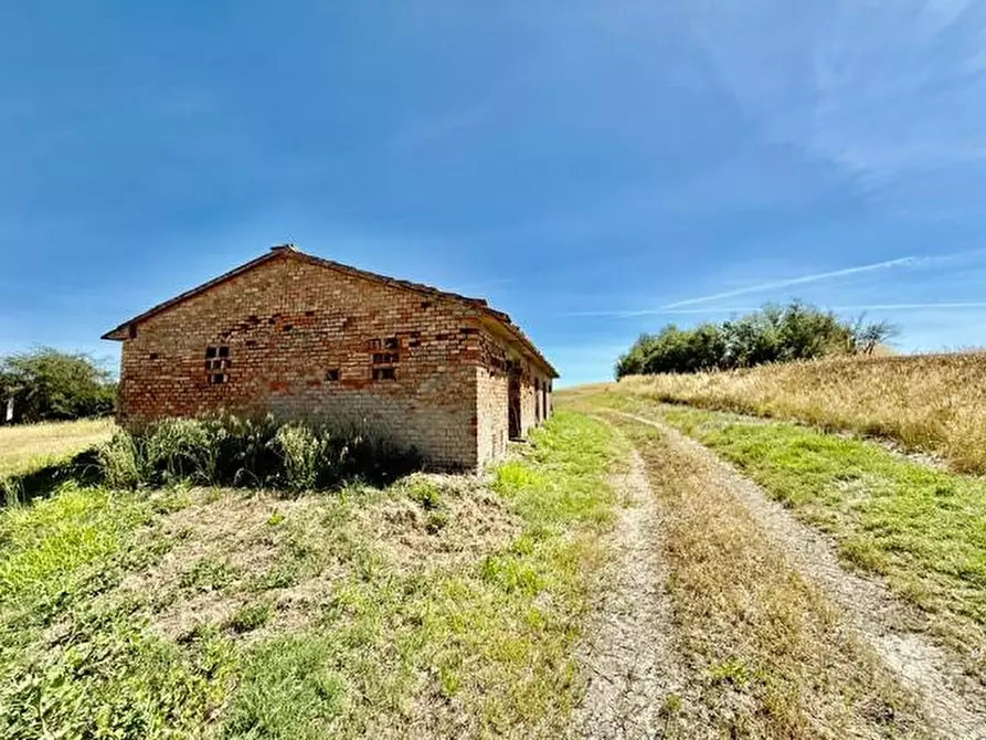 Immagine 12 di Rustico / casale in vendita  a Volterra
