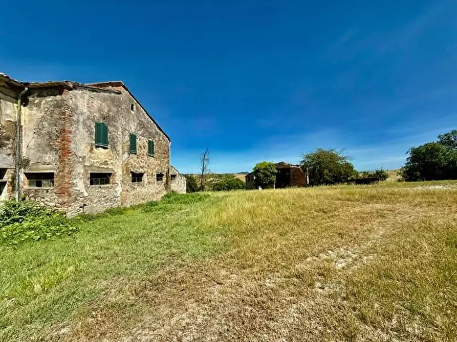 Immagine 14 di Rustico / casale in vendita  a Volterra