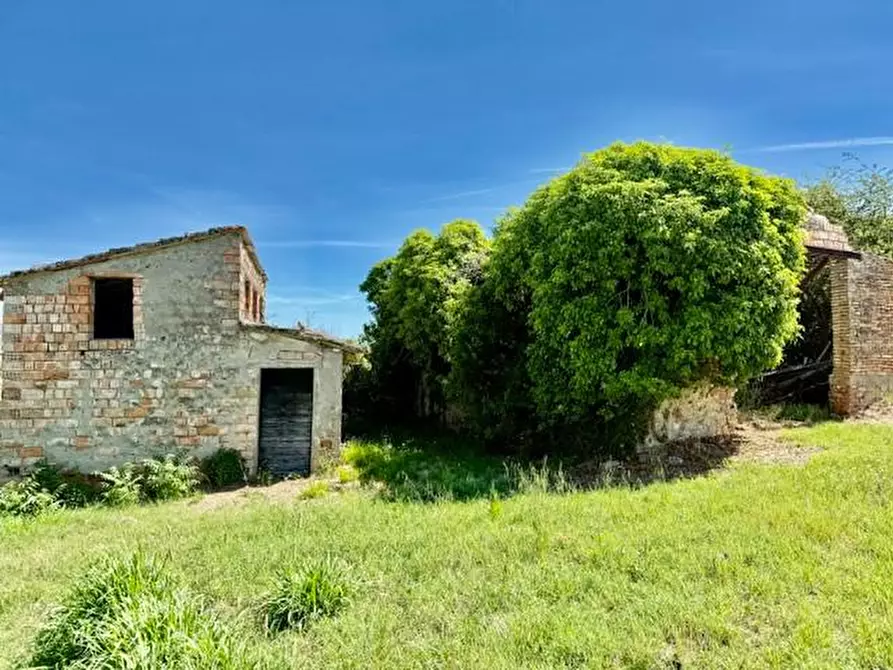 Immagine 18 di Rustico / casale in vendita  a Volterra