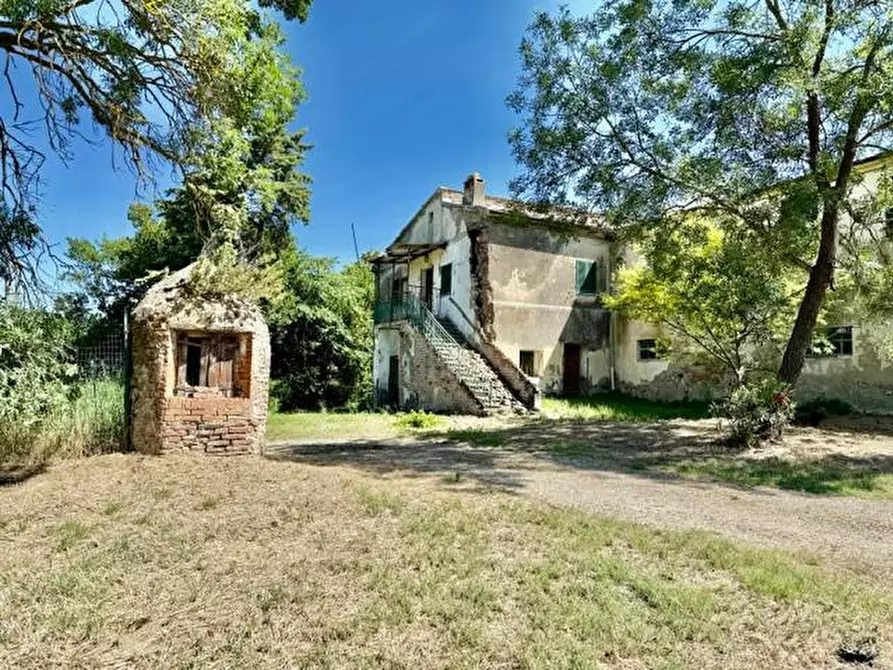 Immagine 6 di Rustico / casale in vendita  a Volterra