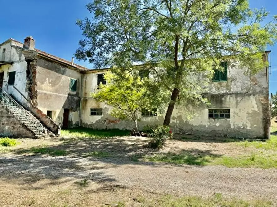 Immagine 7 di Rustico / casale in vendita  a Volterra