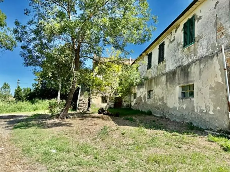 Immagine 8 di Rustico / casale in vendita  a Volterra