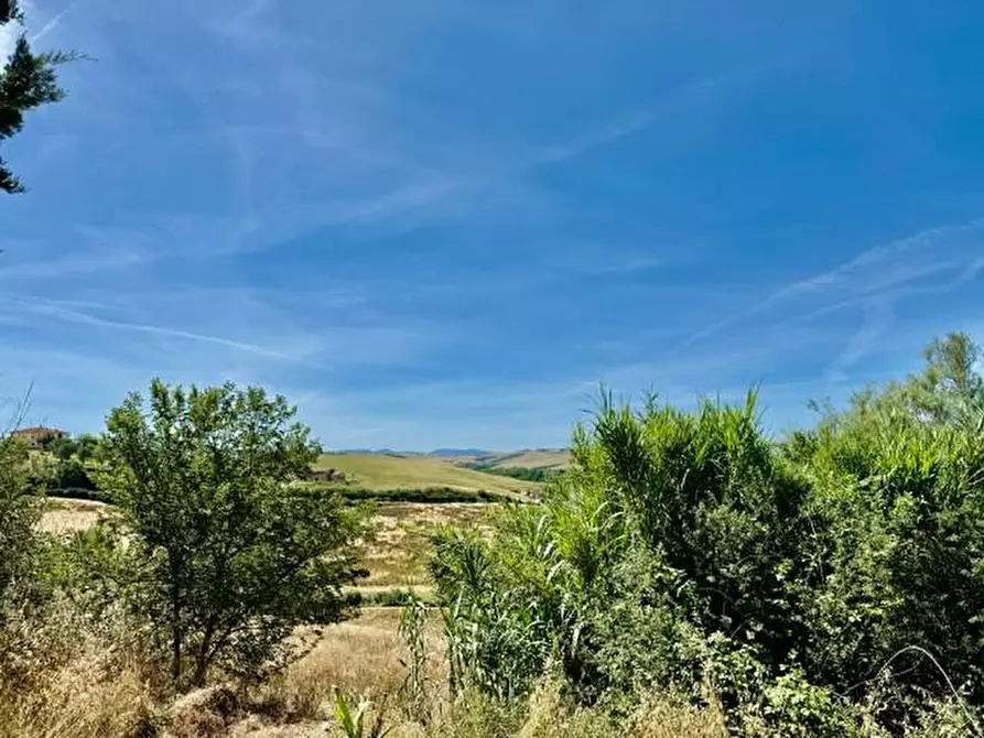 Immagine 4 di Rustico / casale in vendita  a Volterra