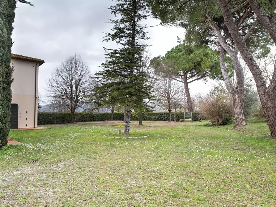 Immagine 19 di Casa semindipendente in vendita  a Vecchiano