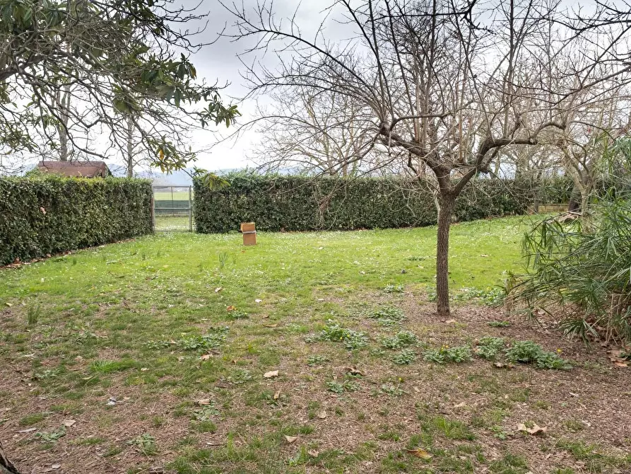 Immagine 22 di Casa semindipendente in vendita  a Vecchiano
