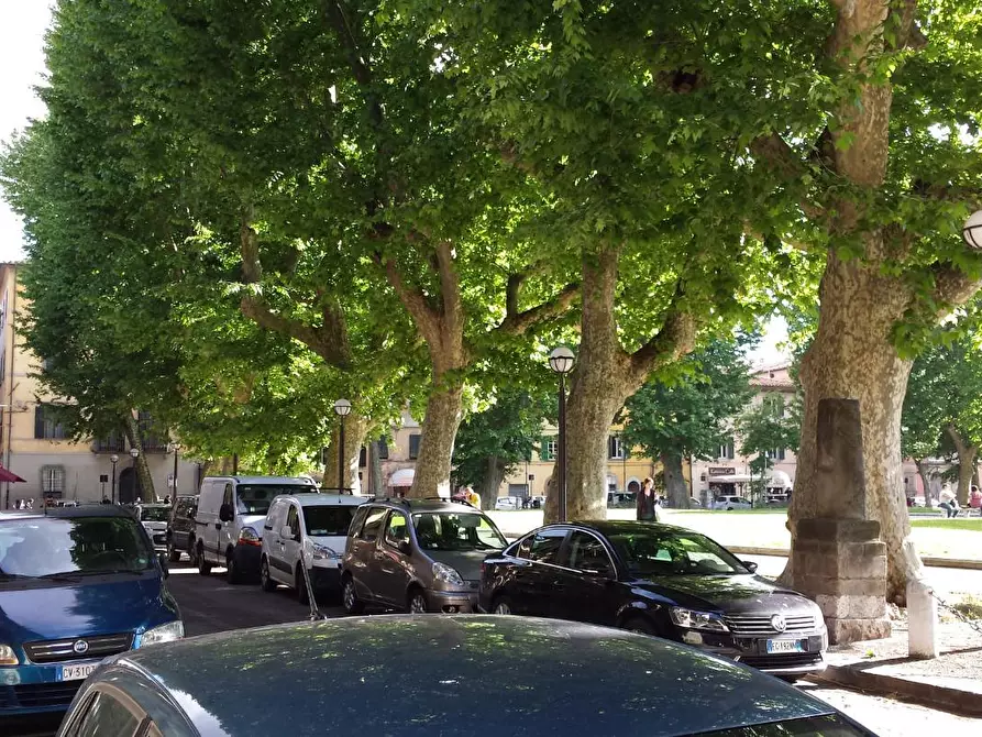 Immagine 12 di Appartamento in affitto  a Pisa