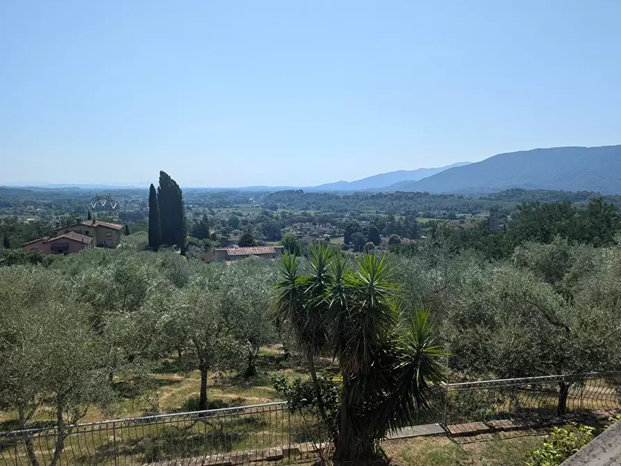 Immagine 56 di Villa in vendita  a Lucca