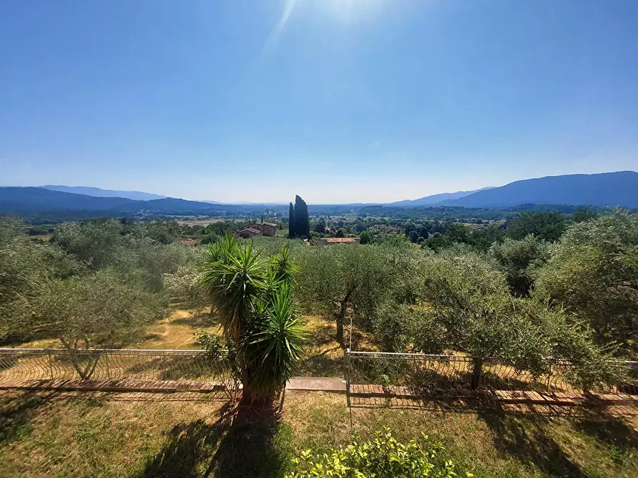 Immagine 5 di Villa in vendita  a Lucca