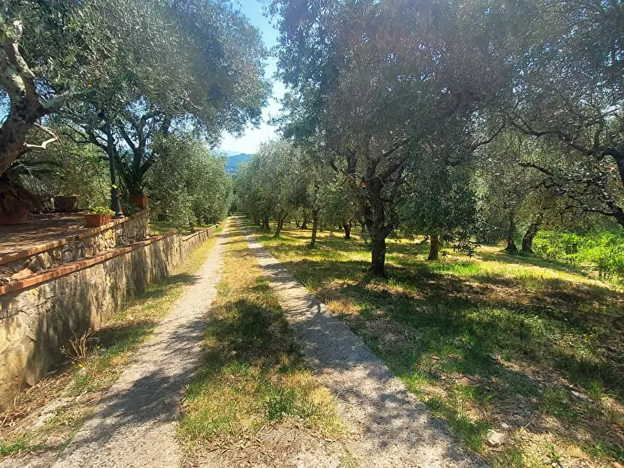 Immagine 49 di Villa in vendita  a Lucca