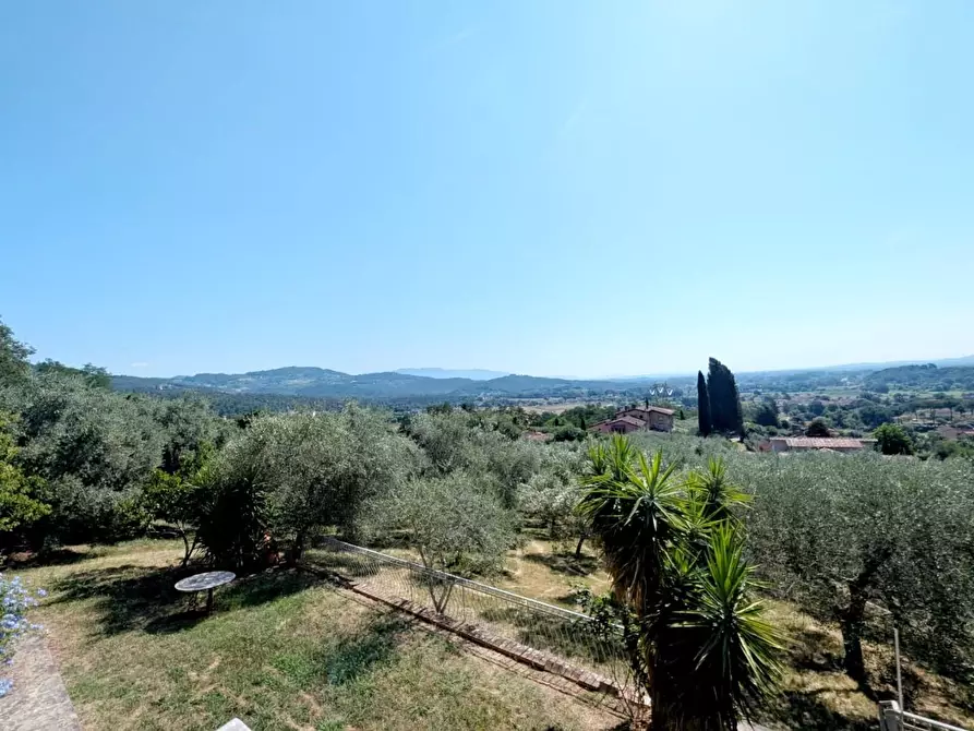 Immagine 7 di Villa in vendita  a Lucca