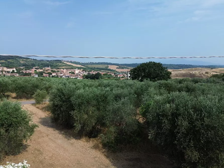 Immagine 16 di Casa colonica in vendita  a Casciana Terme Lari