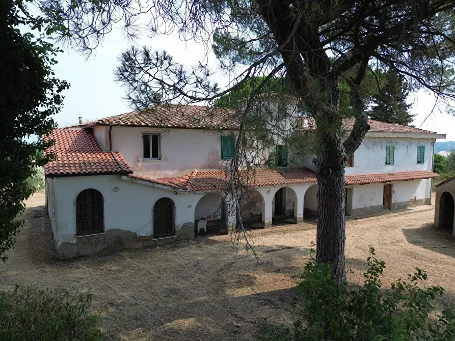 Immagine 5 di Casa colonica in vendita  a Casciana Terme Lari
