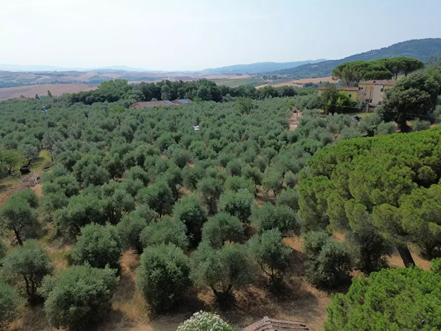 Immagine 19 di Casa colonica in vendita  a Casciana Terme Lari