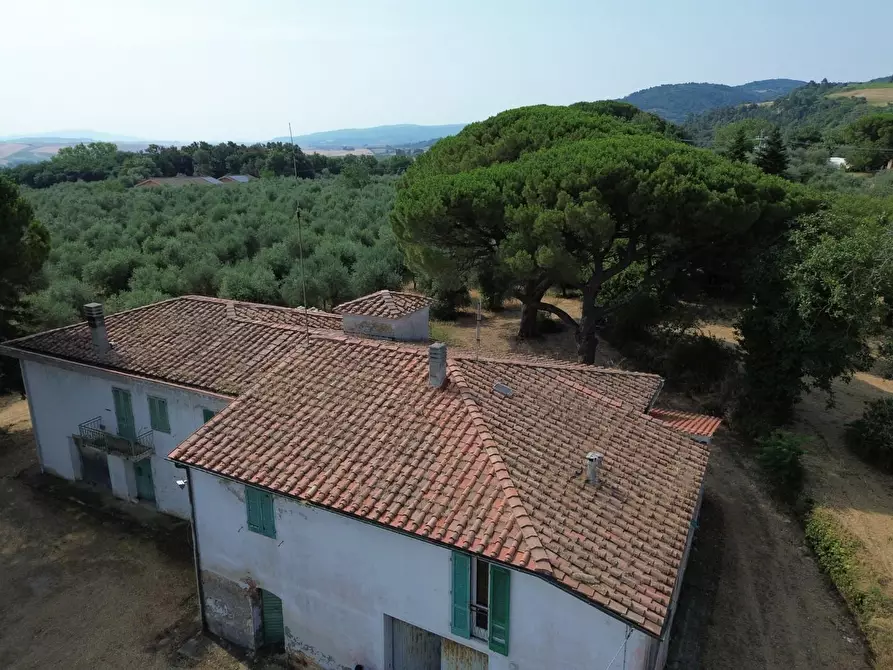 Immagine 18 di Casa colonica in vendita  a Casciana Terme Lari